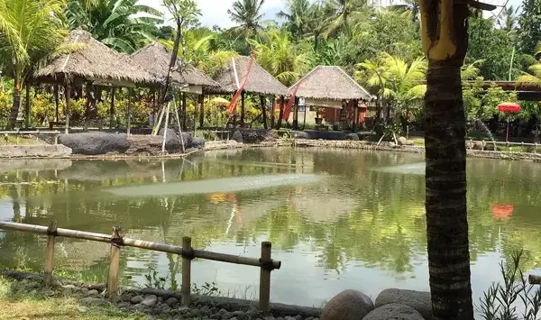 Rumah Makan Tegal Dadong